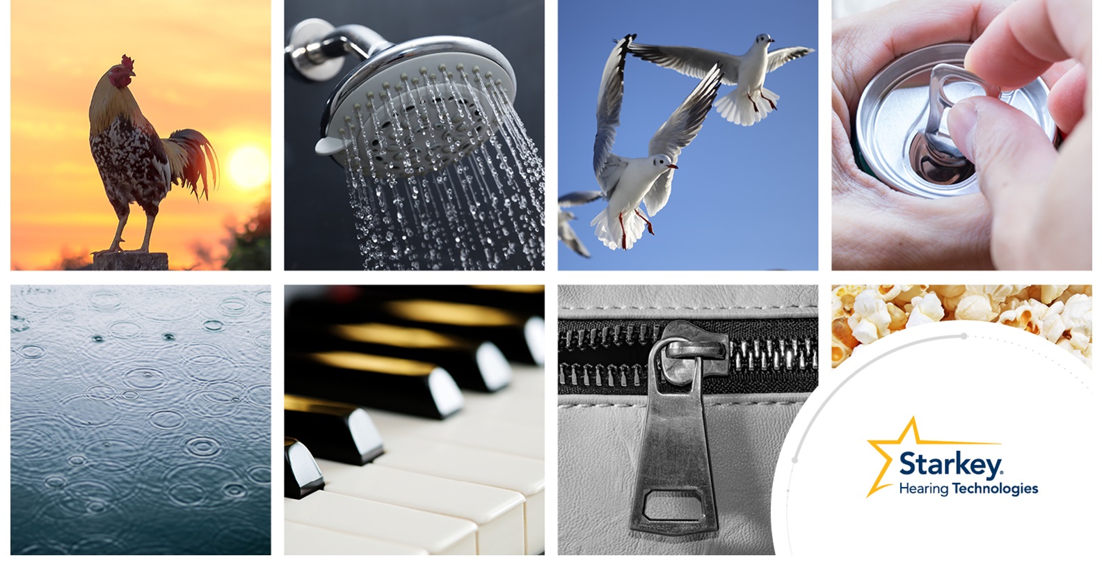 best-sound-in-the-world-bl